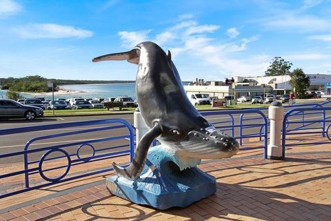 Huskisson Holiday Motel Cabins - Sunshine Coast Guide 20