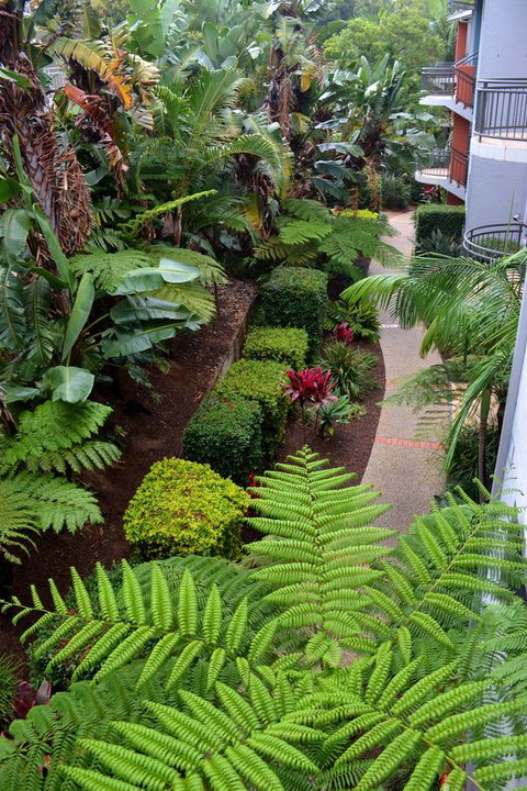 Flynns Beach Resort - Sunshine Coast Guide 17