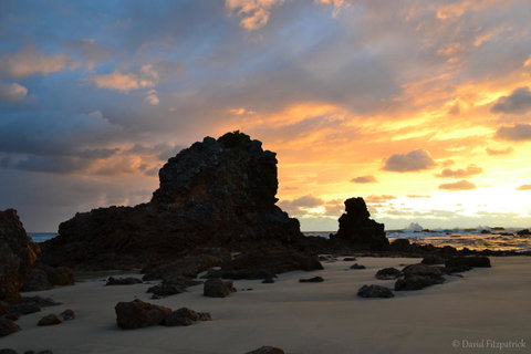 Flynns Beach Resort - Sunshine Coast Guide 19