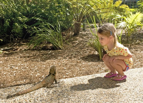 Flynns Beach Resort - Sunshine Coast Guide 16