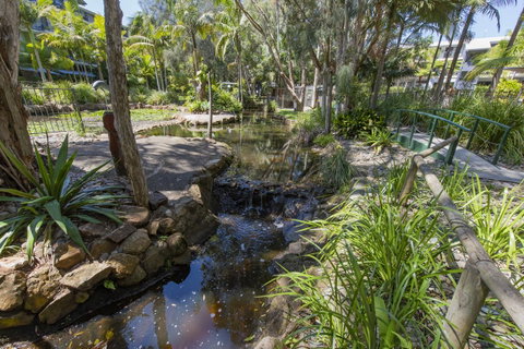 Flynns Beach Resort - Sunshine Coast Guide 13