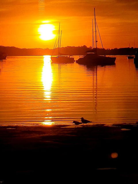 Marina Resort - Sunshine Coast Guide 3
