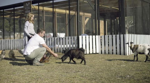 The Woods Farm Jervis Bay - Sunshine Coast Guide 14