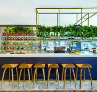 Vibe Hotel Sydney - Sunshine Coast Guide