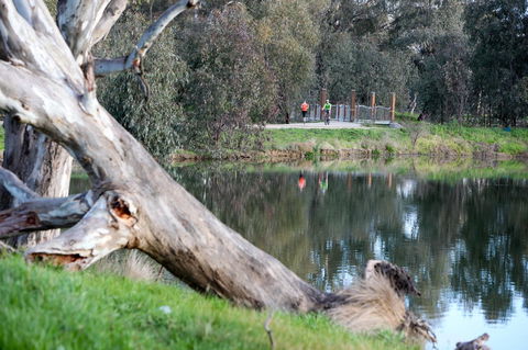 Mercure Albury - Sunshine Coast Guide 15