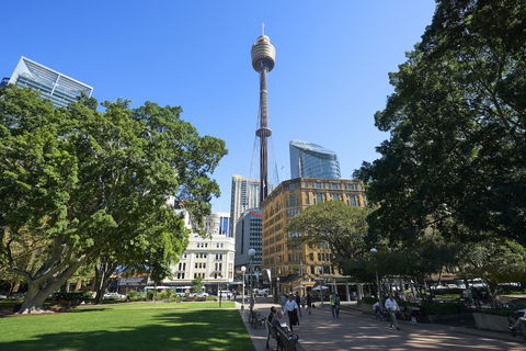 Pullman Sydney Hyde Park - Sunshine Coast Guide 17