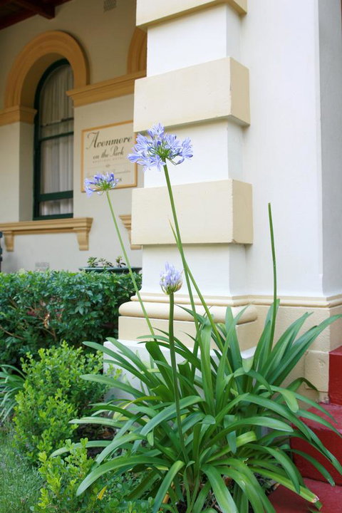 Avonmore On The Park Boutique Hotel - Sunshine Coast Guide 15