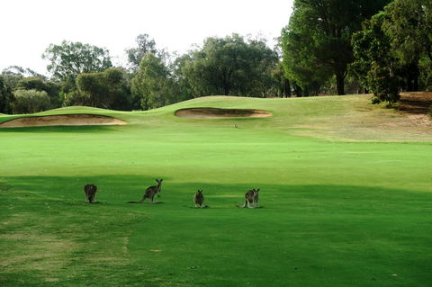 Mulwala Resort - Sunshine Coast Guide 40