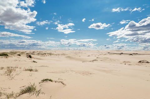 Birubi Beach Holiday Park - Sunshine Coast Guide 38
