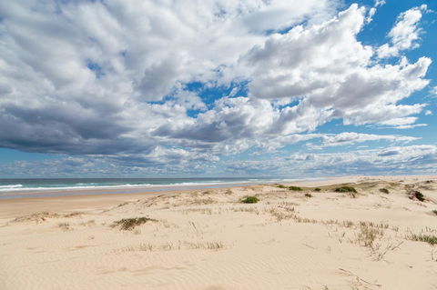 Birubi Beach Holiday Park - Sunshine Coast Guide 37