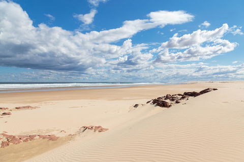 Birubi Beach Holiday Park - Sunshine Coast Guide 42