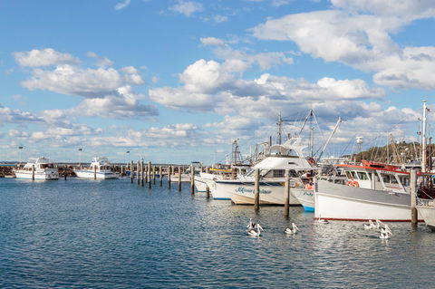 Birubi Beach Holiday Park - Sunshine Coast Guide 34