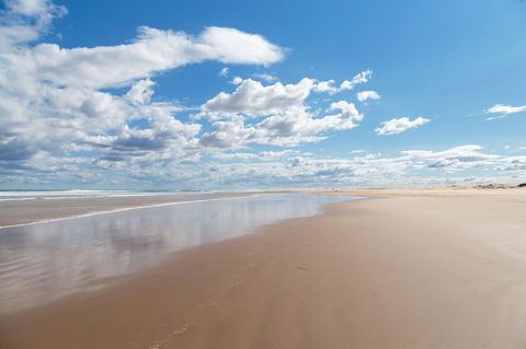 Birubi Beach Holiday Park - Sunshine Coast Guide 41