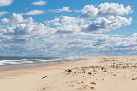 Birubi Beach Holiday Park - Sunshine Coast Guide 44