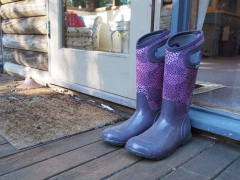 Lark Cottage - Sunshine Coast Guide 8