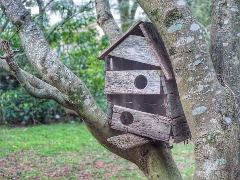 Lark Cottage - Sunshine Coast Guide 3