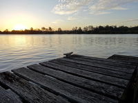 Book Urunga Accommodation Vacations Sunshine Coast Guide Sunshine Coast Guide