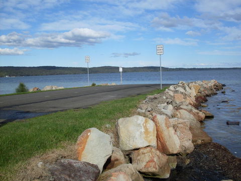 Bush & Bay Cottage - Sunshine Coast Guide 5