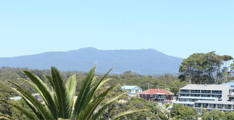 Narooma Palms Holiday Apartments - Sunshine Coast Guide 4