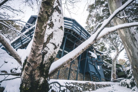 Pure Chalet Thredbo - Sunshine Coast Guide 21