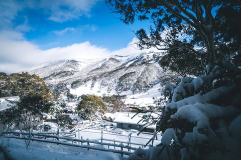 Pure Chalet Thredbo - Sunshine Coast Guide 31