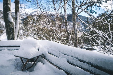 Pure Chalet Thredbo - Sunshine Coast Guide 19
