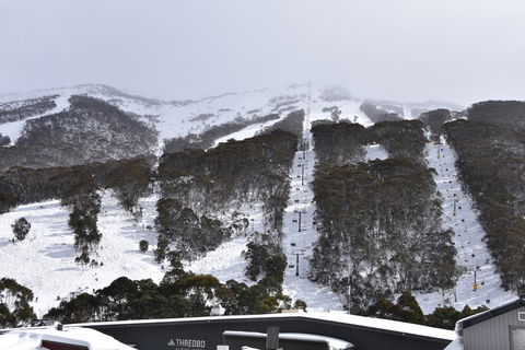 Pure Chalet Thredbo - Sunshine Coast Guide 6