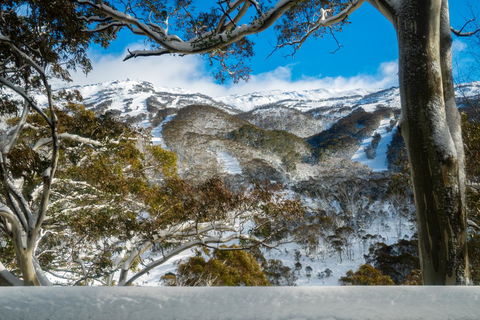 Pure Chalet Thredbo - Sunshine Coast Guide 17