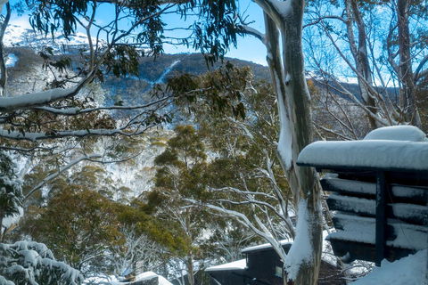 Pure Chalet Thredbo - Sunshine Coast Guide 30