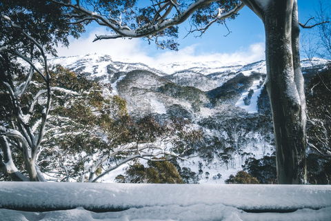 Pure Chalet Thredbo - Sunshine Coast Guide 2