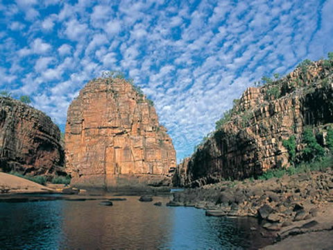 Pine Tree Motel - Sunshine Coast Guide 42