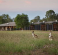 Wildman Wilderness Lodge - Sunshine Coast Guide