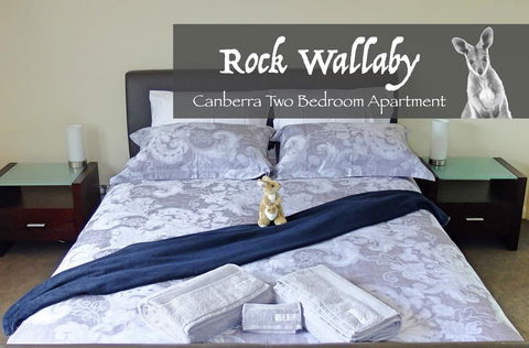 Rock Wallaby - Sunshine Coast Guide 4
