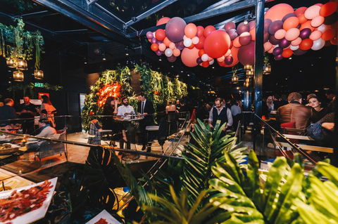 Canberra Rex Hotel - Sunshine Coast Guide 7