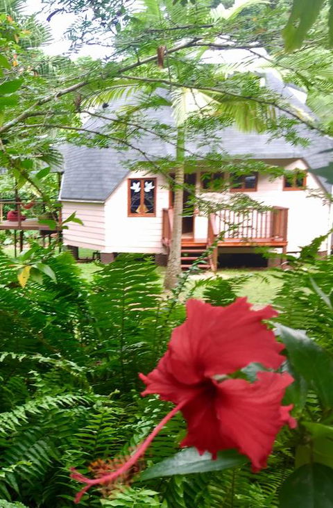 Cape Tribulation Holiday House - Sunshine Coast Guide 3