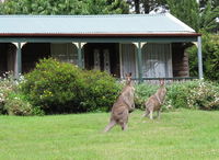 Book Mount Victoria Accommodation Vacations Sunshine Coast Guide Sunshine Coast Guide