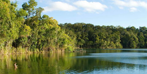 Chambers Wildlife Rainforest Lodges - Sunshine Coast Guide 1