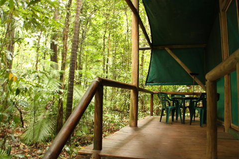 Daintree Crocodylus - Sunshine Coast Guide 1