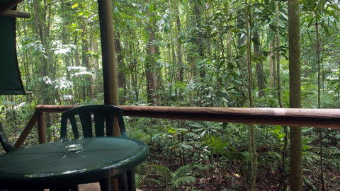 Daintree Crocodylus - Sunshine Coast Guide 2