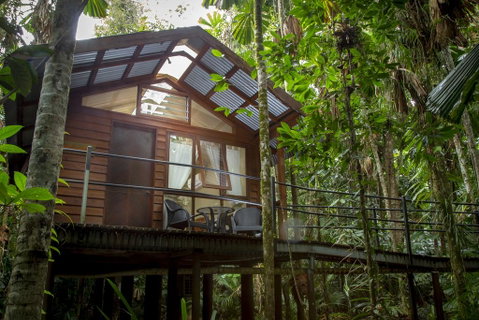Daintree Wilderness Lodge - Sunshine Coast Guide 2