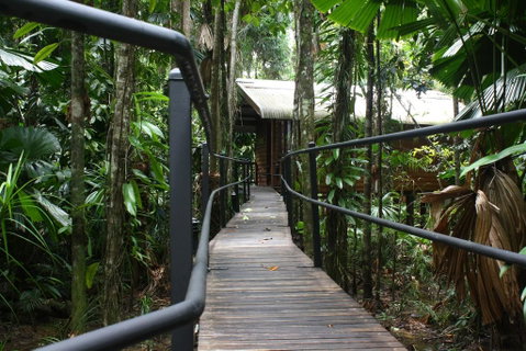 Daintree Wilderness Lodge - Sunshine Coast Guide 0