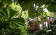 Daintree Wilderness Lodge - thumb 1
