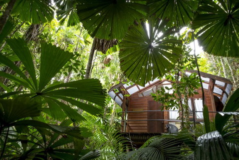 Daintree Wilderness Lodge - Sunshine Coast Guide 1