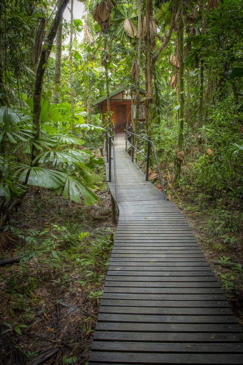 Daintree Wilderness Lodge - Sunshine Coast Guide 3