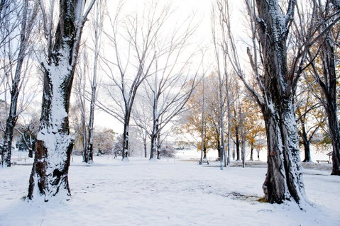Discovery Parks - Jindabyne - Sunshine Coast Guide 3