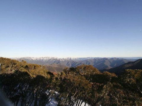 Elkhorn 7 - Sunshine Coast Guide 0