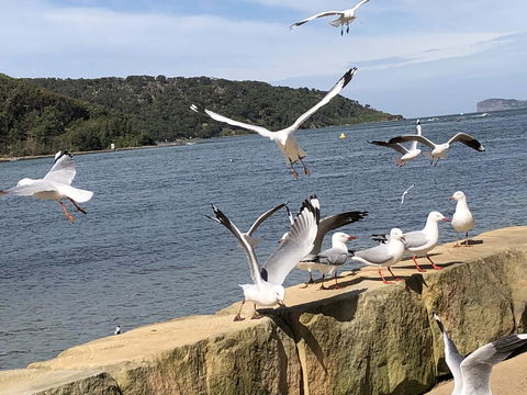 Ettalong Beach Motel - Sunshine Coast Guide 1