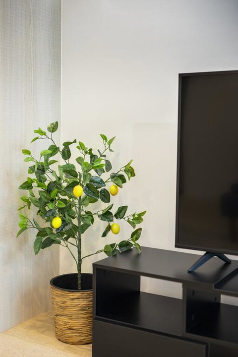 Everhome Melbourne Village 603 - Sunshine Coast Guide 3