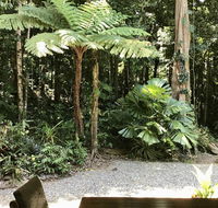 Forest Views Daintree - Sunshine Coast Guide