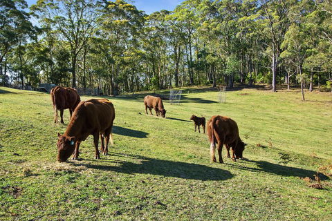 GOWAN ROSS COTTAGE - Sunshine Coast Guide 1